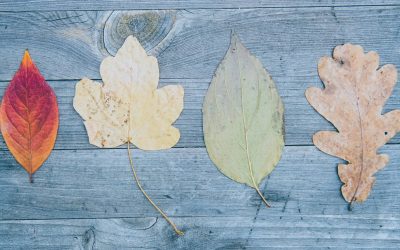 Season of Change