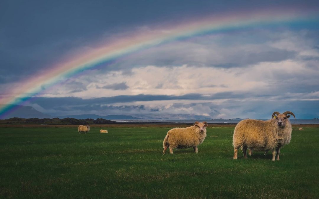 Fulfilling God’s Promises