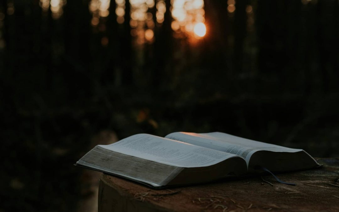 Learning Everyday Dependency With Jesus