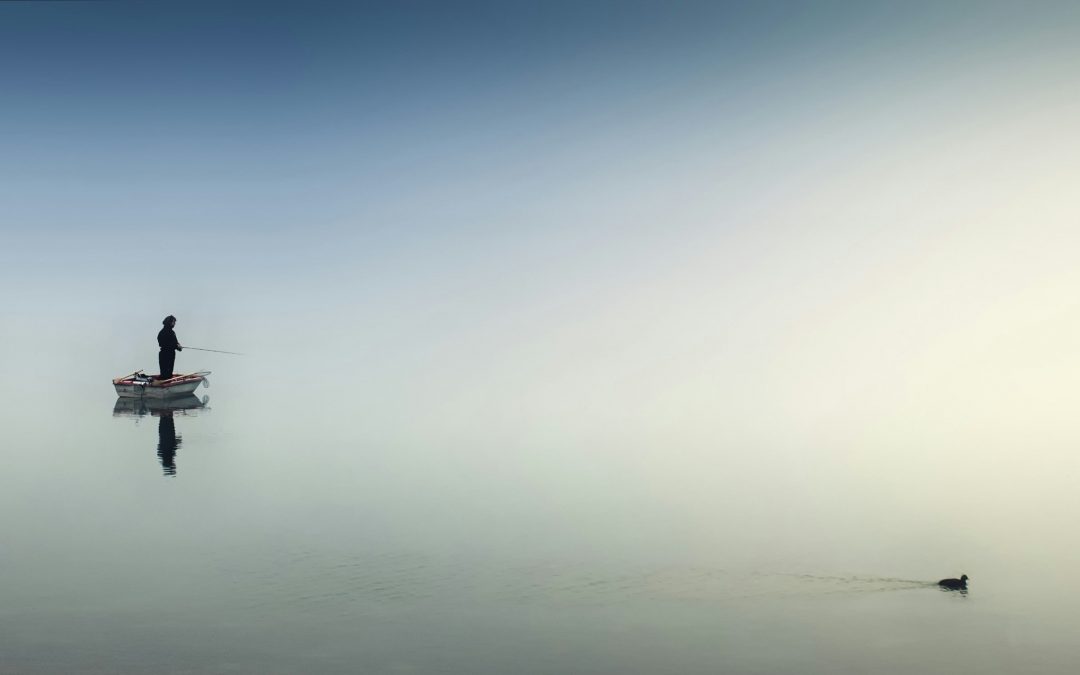 12 Principles for Peace Beyond Understanding