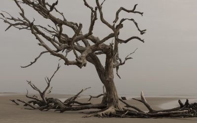 Overcoming the Spirit of Isolation (+FREE Giveaway)