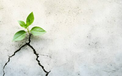 What You Have Seen So Far Is Nothing!